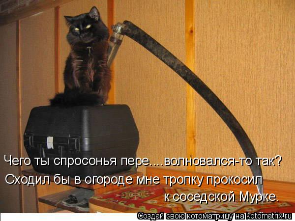 Чего ты спросонья пере....волновался-то так? Сходил бы в огороде мне тропку прокосил к соседской Мур... Котоматрица: Чего ты спросонья пере....волновался-то так? Сходил бы в огороде мне тропку прокосил к соседской Мурке.