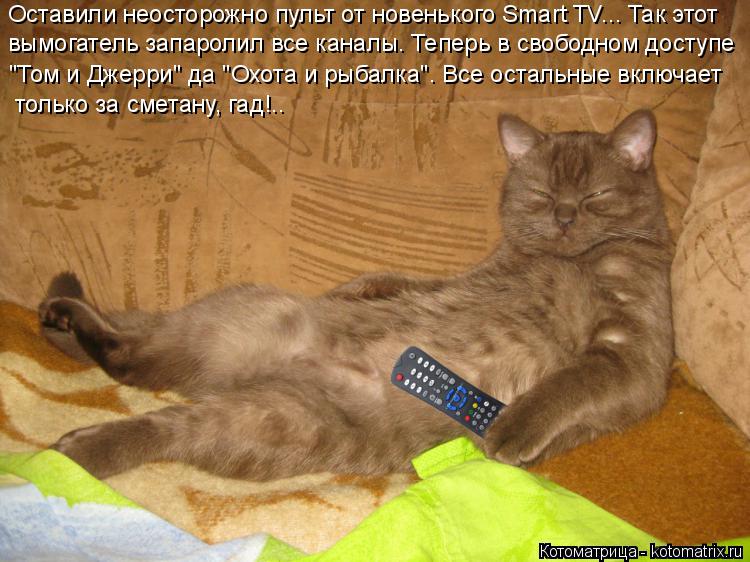 Оставили неосторожно пульт от новенького Smart TV... Так этот вымогатель запаролил все каналы. Теперь... Котоматрица: Оставили неосторожно пульт от новенького Smart TV... Так этот вымогатель запаролил все каналы. Теперь в свободном доступе "Том и Джерри" да "Охот