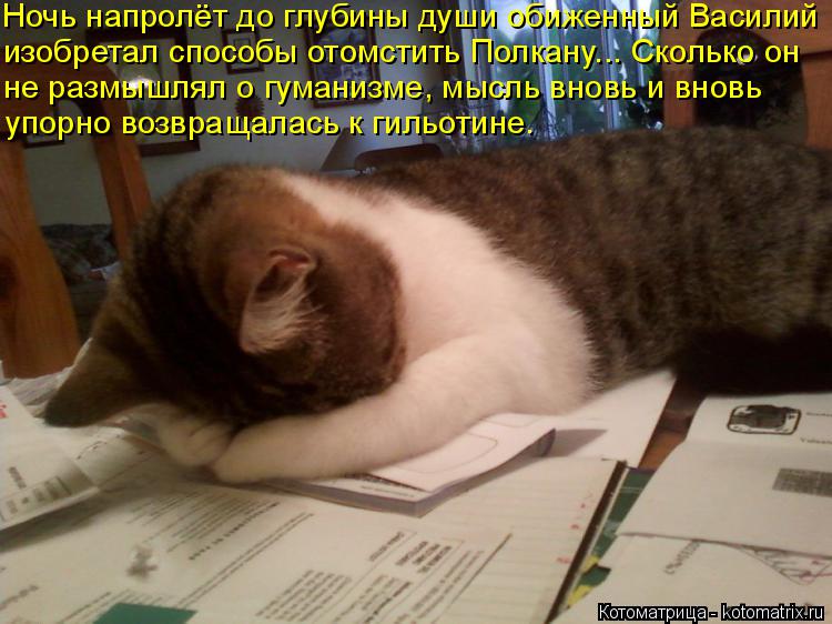 Ночь напролёт до глубины души обиженный Василий изобретал способы отомстить Полкану... Сколько он не ... Котоматрица: Ночь напролёт до глубины души обиженный Василий изобретал способы отомстить Полкану... Сколько он не размышлял о гуманизме, мысль вновь и в