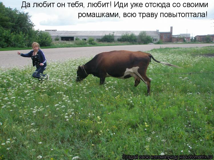 Да любит он тебя, любит! Иди уже отсюда со своими ромашками, всю траву повытоптала!... Котоматрица: Да любит он тебя, любит! Иди уже отсюда со своими ромашками, всю траву повытоптала!