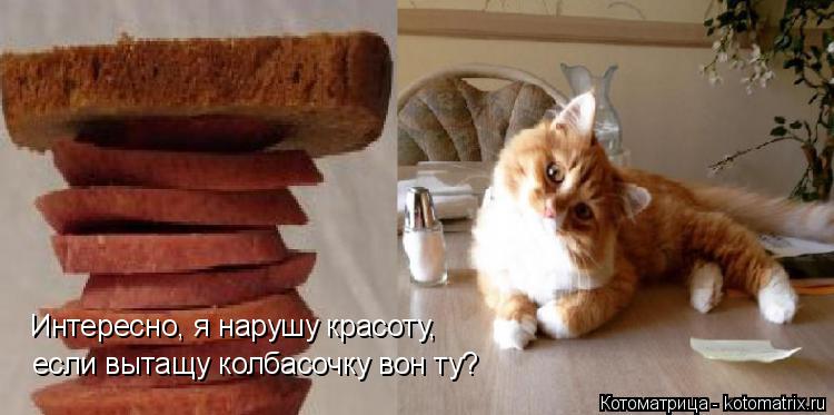 Интересно, я нарушу красоту, если вытащу колбасочку вон ту?... Котоматрица: Интересно, я нарушу красоту, если вытащу колбасочку вон ту?