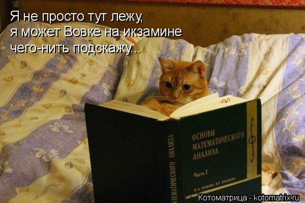 Я не просто тут лежу, я может Вовке на икзамине чего-нить подскажу...... Котоматрица: Я не просто тут лежу, я может Вовке на икзамине чего-нить подскажу...