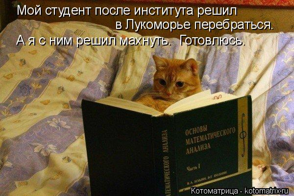 Мой студент после института решил в Лукоморье перебраться. А я с ним решил махнуть. Готовлюсь.... Котоматрица: Мой студент после института решил в Лукоморье перебраться. А я с ним решил махнуть. Готовлюсь.