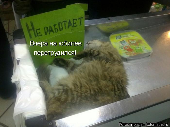 Вчера на юбилее перетрудился!... Котоматрица: Вчера на юбилее перетрудился!