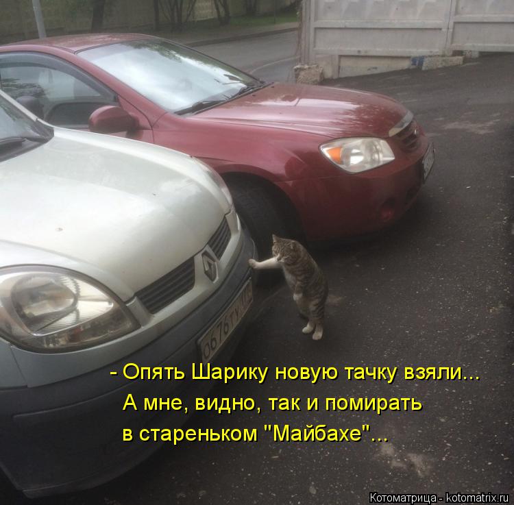 - Опять Шарику новую тачку взяли... А мне, видно, так и помирать в стареньком "Майбахе"...... Котоматрица: - Опять Шарику новую тачку взяли... А мне, видно, так и помирать в стареньком "Майбахе"...