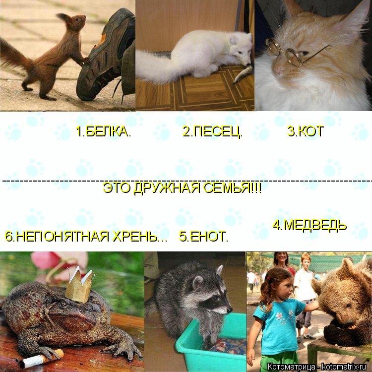 ------------------------------------------------------------------------------------ 4.МЕДВЕДЬ 6.НЕПО... Котоматрица: ------------------------------------------------------------------------------------ 4.МЕДВЕДЬ 6.НЕПОНЯТНАЯ ХРЕНЬ... 5.ЕНОТ. 1.БЕЛКА. 2.ПЕСЕЦ. 3.КОТ ЭТО ДРУЖНАЯ СЕМЬЯ!!!