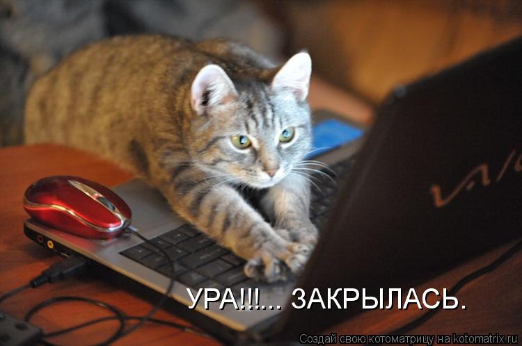 Котоматрица: УРА!!!... ЗАКРЫЛАСЬ.