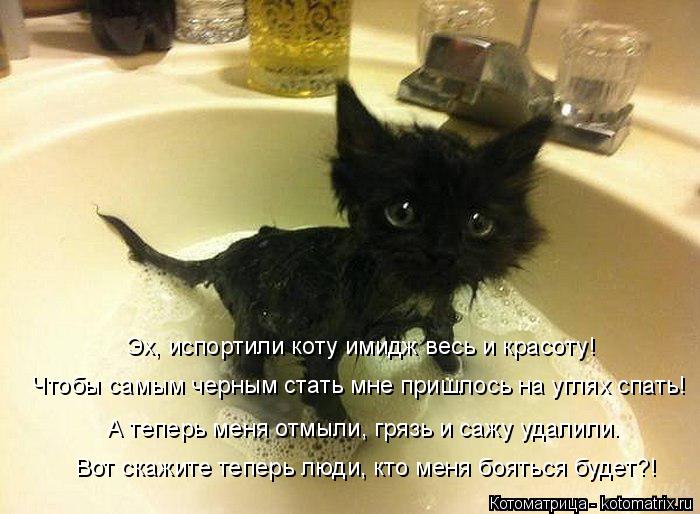 Вот скажите теперь люди, кто меня бояться будет?! А теперь меня отмыли, грязь и сажу удалили. Чтобы с... Котоматрица: Вот скажите теперь люди, кто меня бояться будет?! А теперь меня отмыли, грязь и сажу удалили. Чтобы самым черным стать мне пришлось на углях с