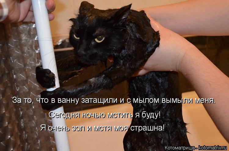 Котоматрица: За то, что в ванну затащили и с мылом вымыли меня. Сегодня ночью мстить я буду! Я очень зол и мстя моя страшна!