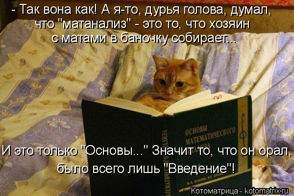 Котоматрица: - Так вона как! А я-то, дурья голова, думал, что "матанализ" - это то, что хозяин с матами в баночку собирает... И это только "Основы..." Значит то, ч