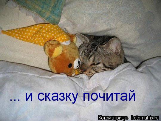 ... и сказку почитай... Котоматрица: ... и сказку почитай