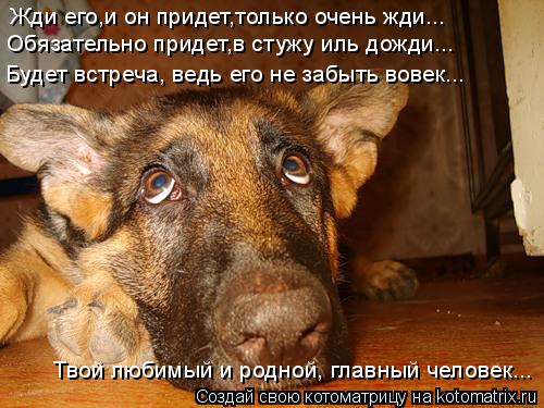 Жди его,и он придет,только очень жди... Обязательно придет,в стужу иль дожди... Будет встреча, ведь е... Котоматрица: Жди его,и он придет,только очень жди... Обязательно придет,в стужу иль дожди... Будет встреча, ведь его не забыть вовек... Твой любимый и родной,