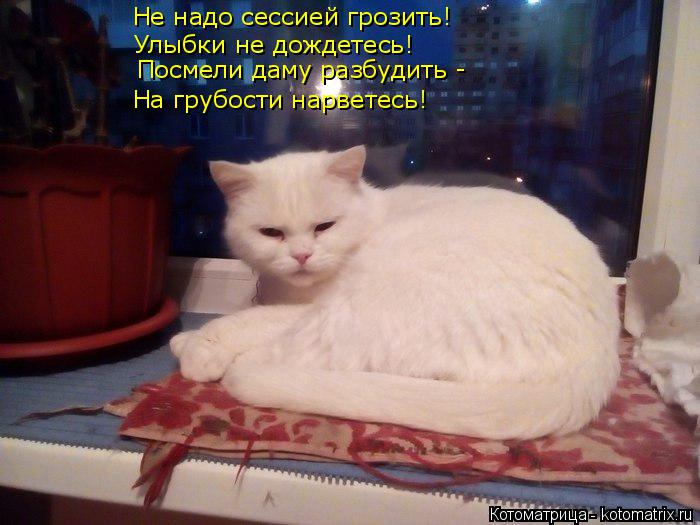 Не надо сессией грозить! Улыбки не дождетесь! Посмели даму разбудить - На грубости нарветесь!... Котоматрица: Не надо сессией грозить! Улыбки не дождетесь! Посмели даму разбудить - На грубости нарветесь!