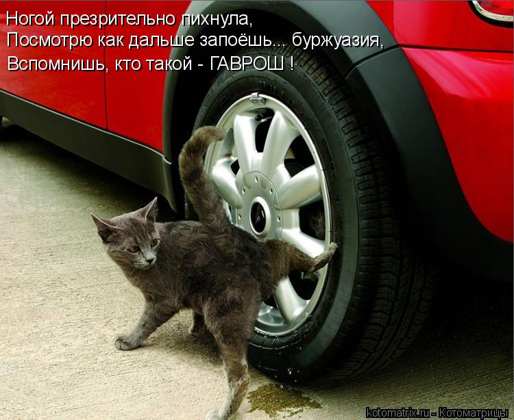 Ногой презрительно пихнула, Посмотрю как дальше запоёшь... буржуазия, Вспомнишь, кто такой - ГАВРОШ !... Котоматрица: Ногой презрительно пихнула, Посмотрю как дальше запоёшь... буржуазия, Вспомнишь, кто такой - ГАВРОШ !