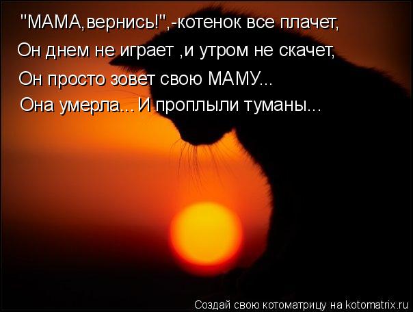 Он днем не играет ,и утром не скачет, "МАМА,вернись!",-котенок все плачет, Он просто зовет свою МАМУ.... Котоматрица: Он днем не играет ,и утром не скачет, "МАМА,вернись!",-котенок все плачет, Он просто зовет свою МАМУ... Она умерла... И проплыли туманы...