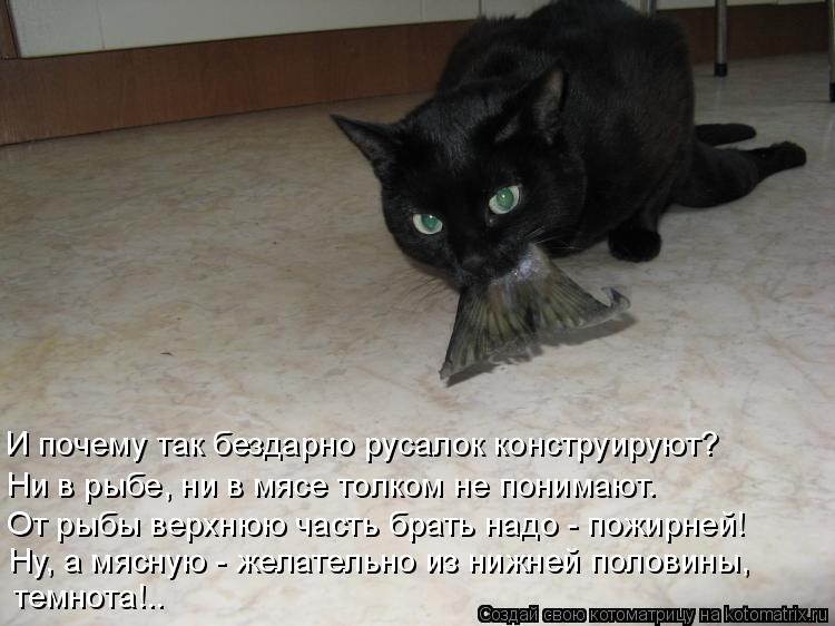 И почему так бездарно русалок конструируют? Ни в рыбе, ни в мясе толком не понимают. От рыбы верхнюю... Котоматрица: И почему так бездарно русалок конструируют? Ни в рыбе, ни в мясе толком не понимают. От рыбы верхнюю часть брать надо - пожирней! Ну, а мясную