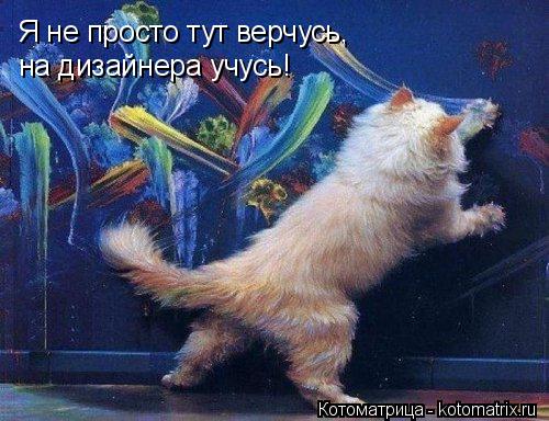 Я не просто тут верчусь, на дизайнера учусь!... Котоматрица: Я не просто тут верчусь, на дизайнера учусь!