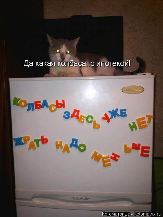 -Да какая колбаса..с ипотекой!... Котоматрица: -Да какая колбаса..с ипотекой!