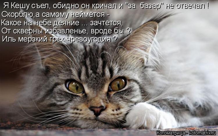 Я Кешу съел, обидно он кричал и "за базар" не отвечал ! Скорблю,а самому неймётся - Иль мерзкий гре... Котоматрица: Я Кешу съел, обидно он кричал и "за базар" не отвечал ! Скорблю,а самому неймётся - Иль мерзкий грех чревоугодия ? От скверны избавленье, врод