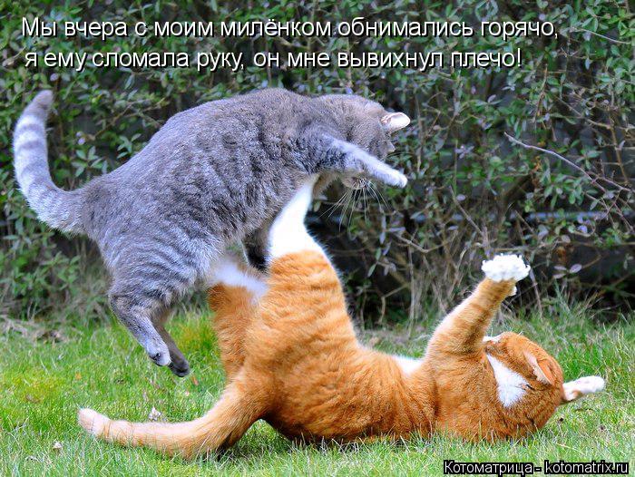 Мы вчера с моим милёнком обнимались горячо, я ему сломала руку, он мне вывихнул плечо!... Котоматрица: Мы вчера с моим милёнком обнимались горячо, я ему сломала руку, он мне вывихнул плечо!