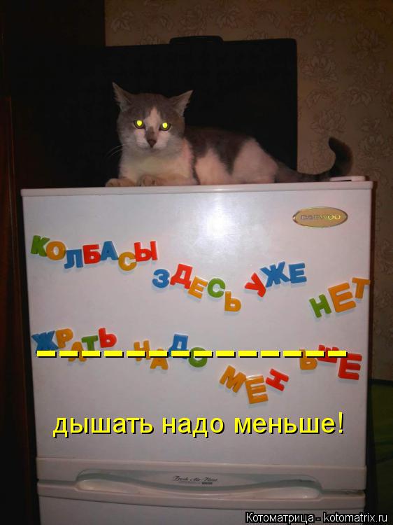 дышать надо меньше! --------------... Котоматрица: дышать надо меньше! --------------