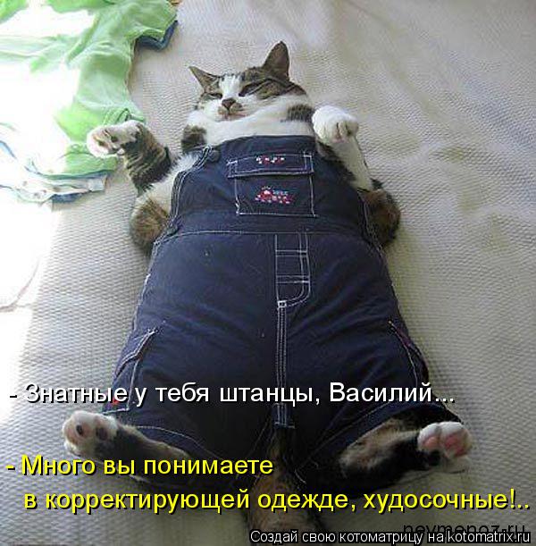 Котоматрица: - Знатные у тебя штанцы, Василий... - Много вы понимаете  в корректирующей одежде, худосочные!..