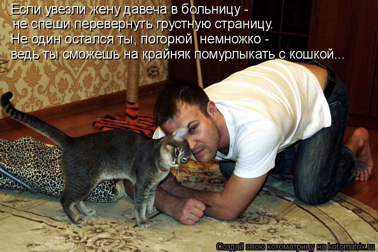Котоматрица: Если увезли жену давеча в больницу -  не спеши перевернуть грустную страницу. Не один остался ты, погорюй  немножко - ведь ты сможешь на крайн