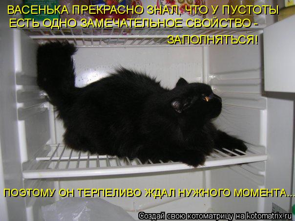 Котоматрица: ВАСЕНЬКА ПРЕКРАСНО ЗНАЛ, ЧТО У ПУСТОТЫ  ЕСТЬ ОДНО ЗАМЕЧАТЕЛЬНОЕ СВОЙСТВО -  ЗАПОЛНЯТЬСЯ! ПОЭТОМУ ОН ТЕРПЕЛИВО ЖДАЛ НУЖНОГО МОМЕНТА...