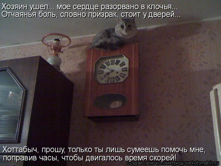Хозяин ушел... мое сердце разорвано в клочья... Отчаянья боль, словно призрак, стоит у дверей... Хотт... Котоматрица: Хозяин ушел... мое сердце разорвано в клочья... Отчаянья боль, словно призрак, стоит у дверей... Хоттабыч, прошу, только ты лишь сумеешь помочь