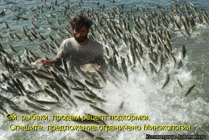 Эй, рыбаки, продам рецепт подкормки. Спешите, предложение ограничено Минэкологии... Котоматрица: Эй, рыбаки, продам рецепт подкормки. Спешите, предложение ограничено Минэкологии