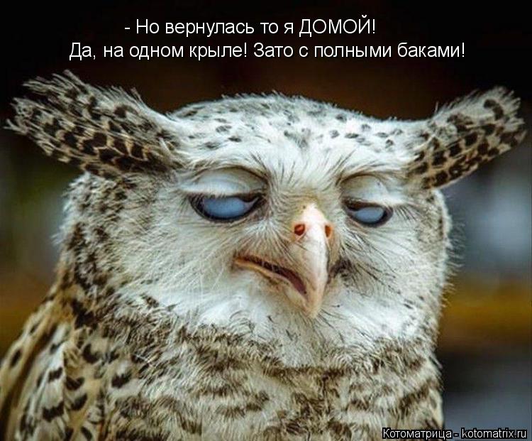 - Но вернулась то я ДОМОЙ! Да, на одном крыле! Зато с полными баками!... Котоматрица: - Но вернулась то я ДОМОЙ! Да, на одном крыле! Зато с полными баками!