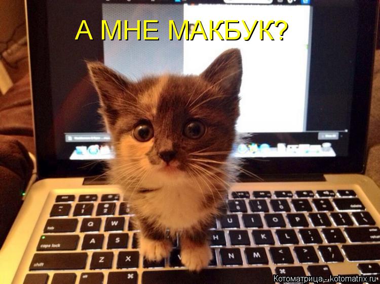 А МНЕ МАКБУК?... Котоматрица: А МНЕ МАКБУК?