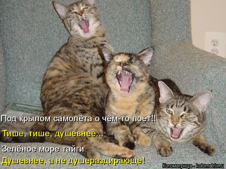 Котоматрица: Под крылом самолёта о чём-то поёт!! Душевнее, а не душераздирающе!  Зелёное море тайги Тише, тише, душевнее...