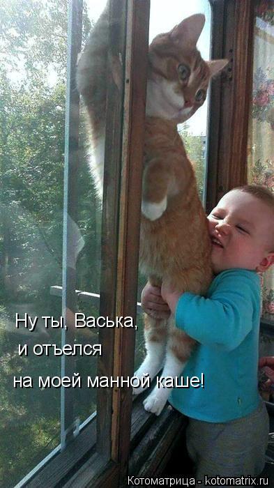 Ну ты, Васька, и отъелся на моей манной каше!... Котоматрица: Ну ты, Васька, и отъелся на моей манной каше!