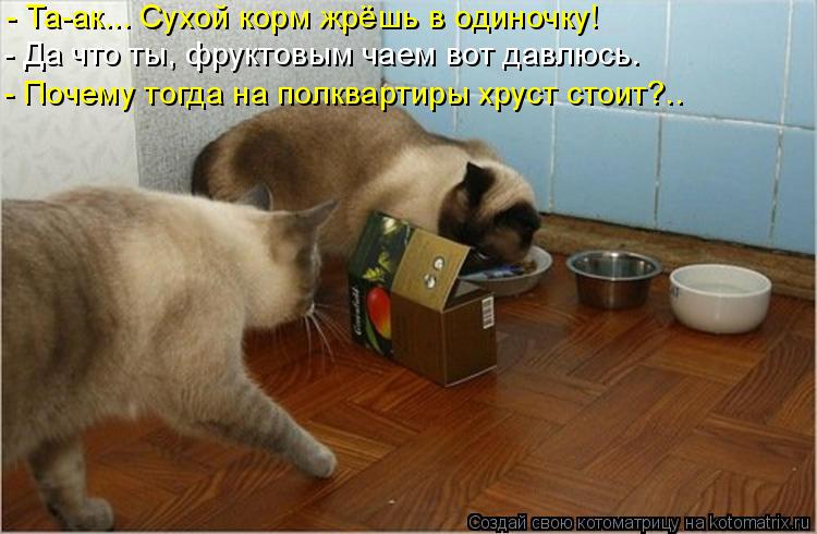 - Да что ты, фруктовым чаем вот давлюсь. - Та-ак... Сухой корм жрёшь в одиночку! - Почему тогда на по... Котоматрица: - Да что ты, фруктовым чаем вот давлюсь. - Та-ак... Сухой корм жрёшь в одиночку! - Почему тогда на полквартиры хруст стоит?..