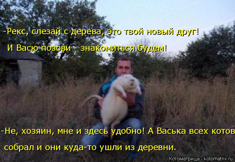 -Не, хозяин, мне и здесь удобно! А Васька всех котов И Васю позови - знакомиться будем! -Рекс, слезай... Котоматрица: -Не, хозяин, мне и здесь удобно! А Васька всех котов И Васю позови - знакомиться будем! -Рекс, слезай с дерева, это твой новый друг! собрал и они