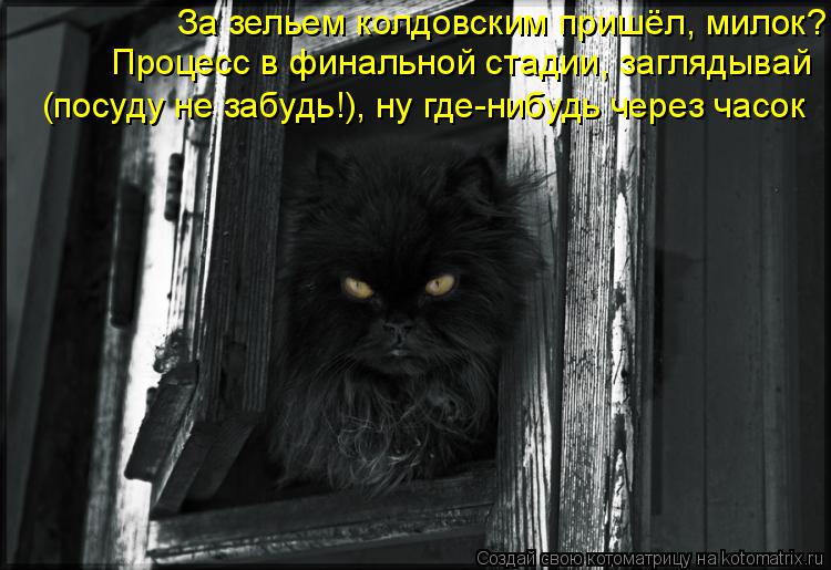 Котоматрица: Процесс в финальной стадии, заглядывай За зельем колдовским пришёл, милок?  (посуду не забудь!), ну где-нибудь через часок