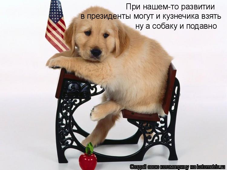 При нашем-то развитии в президенты могут и кузнечика взять ну а собаку и подавно... Котоматрица: При нашем-то развитии в президенты могут и кузнечика взять ну а собаку и подавно