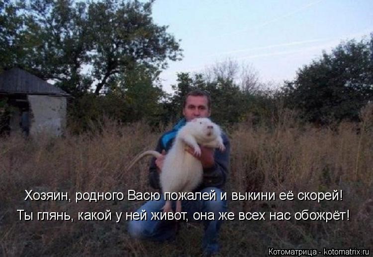 Котоматрица: Хозяин, родного Васю пожалей и выкини её скорей! Ты глянь, какой у ней живот, она же всех нас обожрёт!