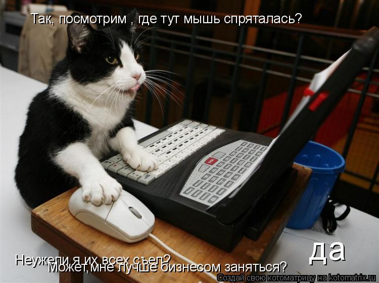 Котоматрица: Так, посмотрим , где тут мышь спряталась?  Неужели я их всех съел? Может,мне лучше бизнесом заняться?  да