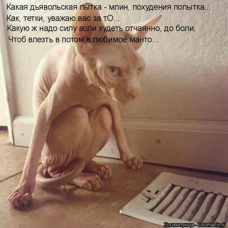 Какая дьявольская пытка - млин, похудения попытка... Как, тетки, уважаю вас за тО... Какую ж надо сил... Котоматрица: Какая дьявольская пытка - млин, похудения попытка... Как, тетки, уважаю вас за тО... Какую ж надо силу воли худеть отчаянно, до боли, Чтоб влезт