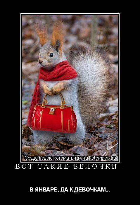 ВОТ ТАКИЕ БЕЛОЧКИ - В ЯНВАРЕ, ДА К ДЕВОЧКАМ...... Котоматрица: ВОТ ТАКИЕ БЕЛОЧКИ - В ЯНВАРЕ, ДА К ДЕВОЧКАМ...