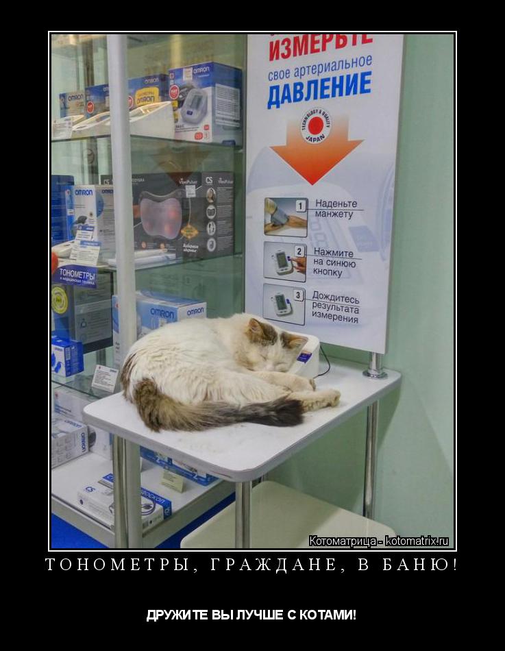ТОНОМЕТРЫ, ГРАЖДАНЕ, В БАНЮ! ДРУЖИТЕ ВЫ ЛУЧШЕ С КОТАМИ!... Котоматрица: ТОНОМЕТРЫ, ГРАЖДАНЕ, В БАНЮ! ДРУЖИТЕ ВЫ ЛУЧШЕ С КОТАМИ!