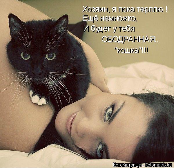 Котоматрица: Хозяин, я пока терплю ! Ещё немножко, И будет у тебя ОБОДРАННАЯ.. "кошка"!!!