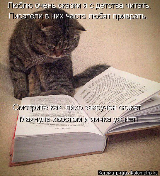 Котоматрица: Махнула хвостом и яичка уж нет! Смотрите как  лихо закручен сюжет... Люблю очень сказки я с детства читать. Писатели в них часто любят приврат