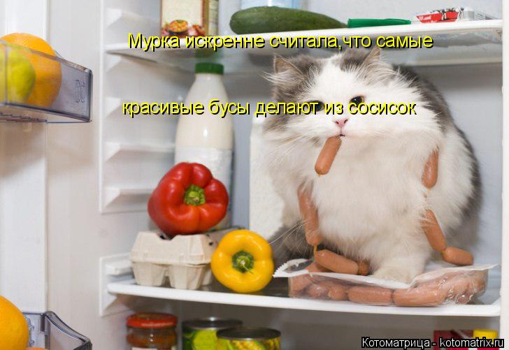Котоматрица: Мурка искренне считала,что самые  красивые бусы делают из сосисок