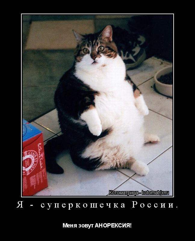 Котоматрица: Я - суперкошечка России. Меня зовут АНОРЕКСИЯ!