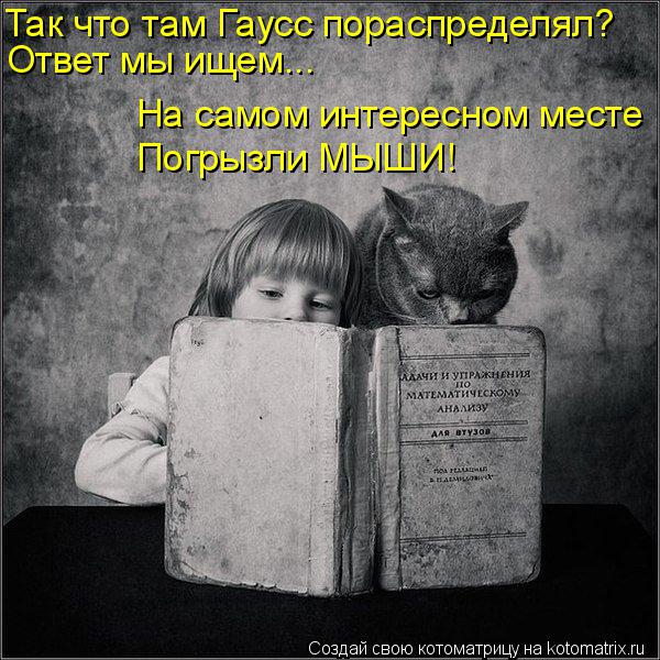 Котоматрица: Так что там Гаусс пораспределял? Ответ мы ищем... На самом интересном месте Погрызли МЫШИ!