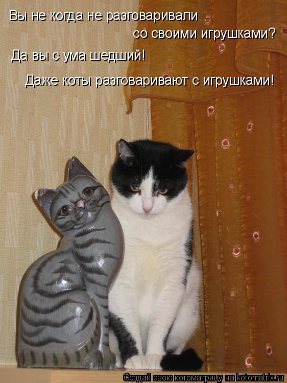 Котоматрица: Вы не когда не разговаривали  со своими игрушками?  Да вы с ума шедший! Даже коты разговаривают с игрушками!