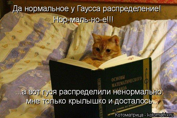 Да нормальное у Гаусса распределение! Нор-маль-но-е!!! ...а вот гуся распределили ненормально: мне то... Котоматрица: Да нормальное у Гаусса распределение! Нор-маль-но-е!!! ...а вот гуся распределили ненормально: мне только крылышко и досталось...